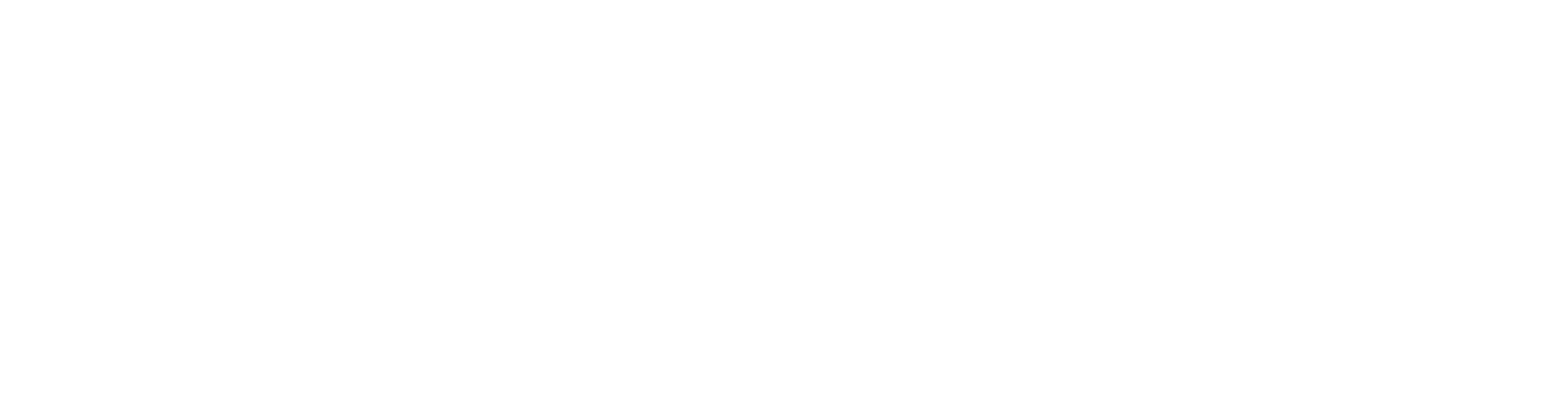 Wrestling Warriors